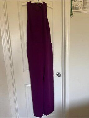 Express Sleeveless Jumpsuit in Plum